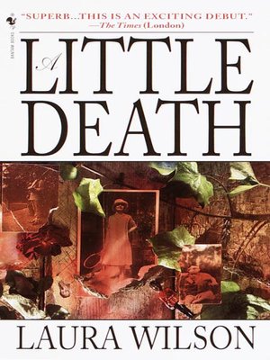 cover image of A Little Death